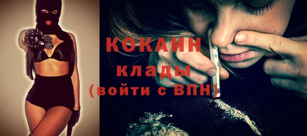 дживик Белокуриха