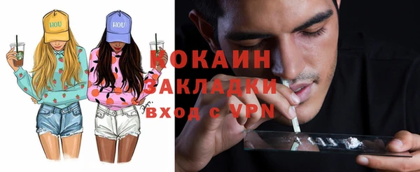 дживик Белокуриха
