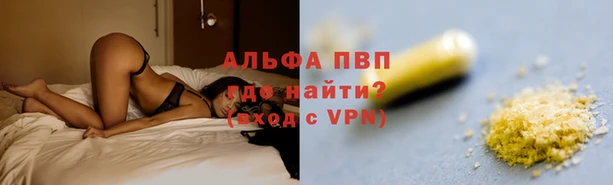 дживик Белокуриха