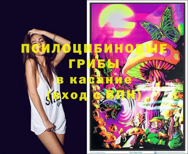 дживик Белокуриха