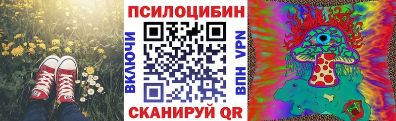 darknet телеграм  магазин продажи   Бугульма  Галлюциногенные грибы мухоморы  ОМГ ОМГ вход 